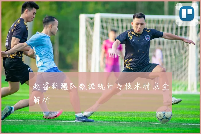 赵睿新疆队数据统计与技术特点全解析