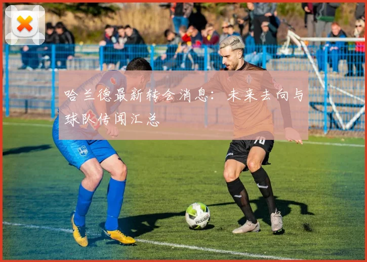 哈兰德最新转会消息：未来去向与球队传闻汇总